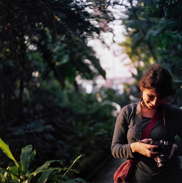 Krohn Conservatory 4.jpg